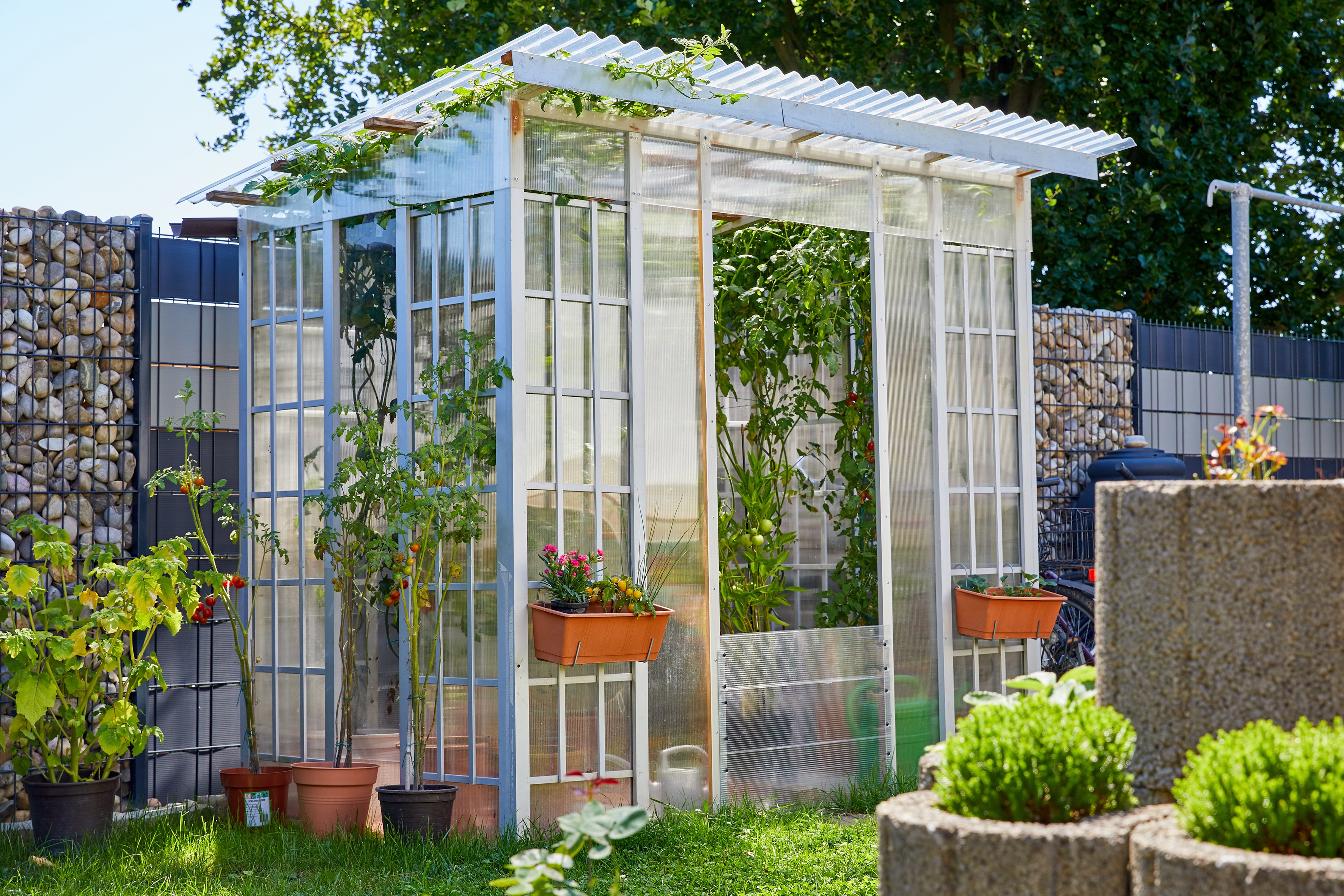 KAISER Plastic Wellplatten Klar - 5 Stück 90x200cm Für Dach Und Überdachung