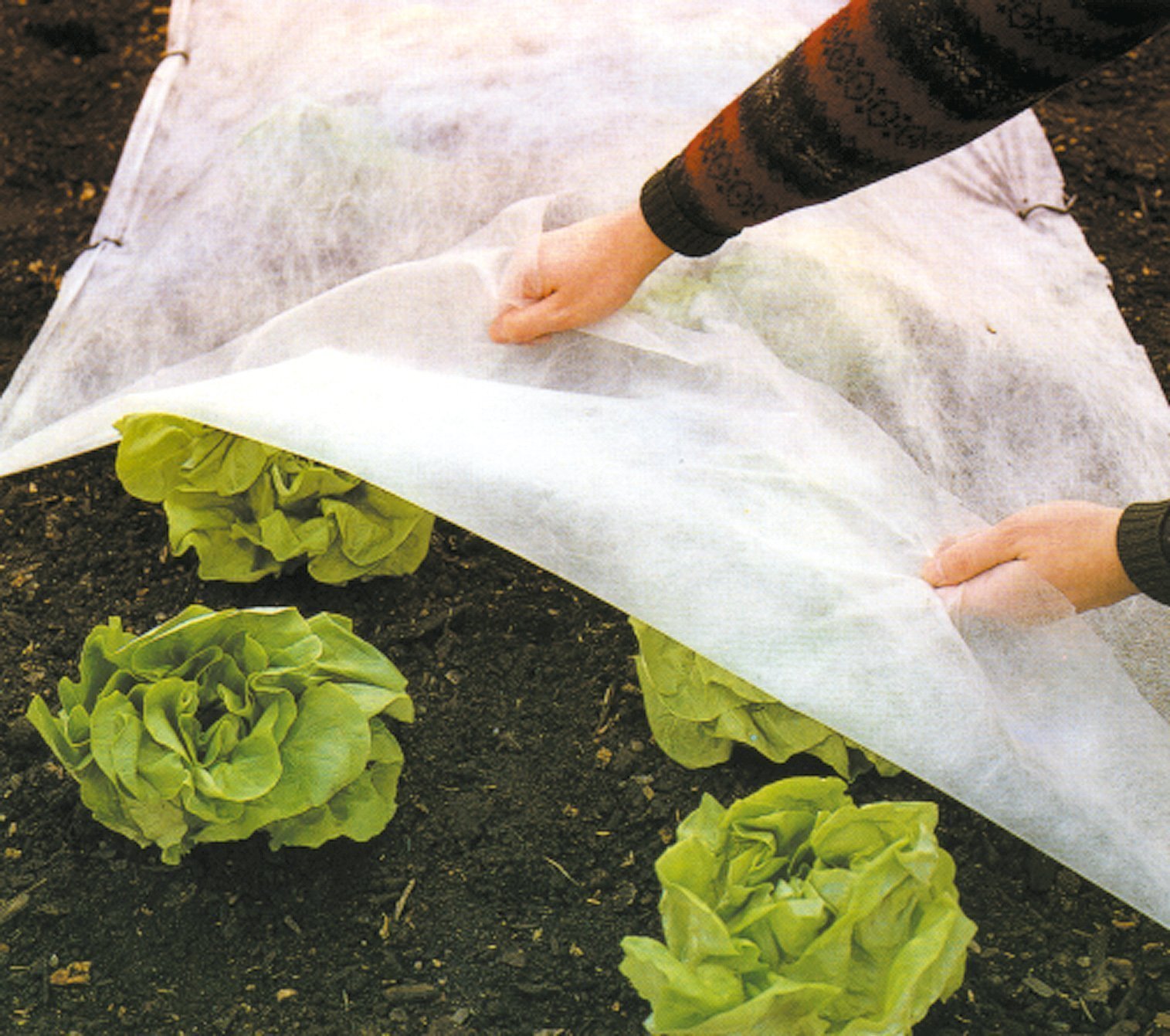 Plantex Protectmax - 1,5 x 8 m