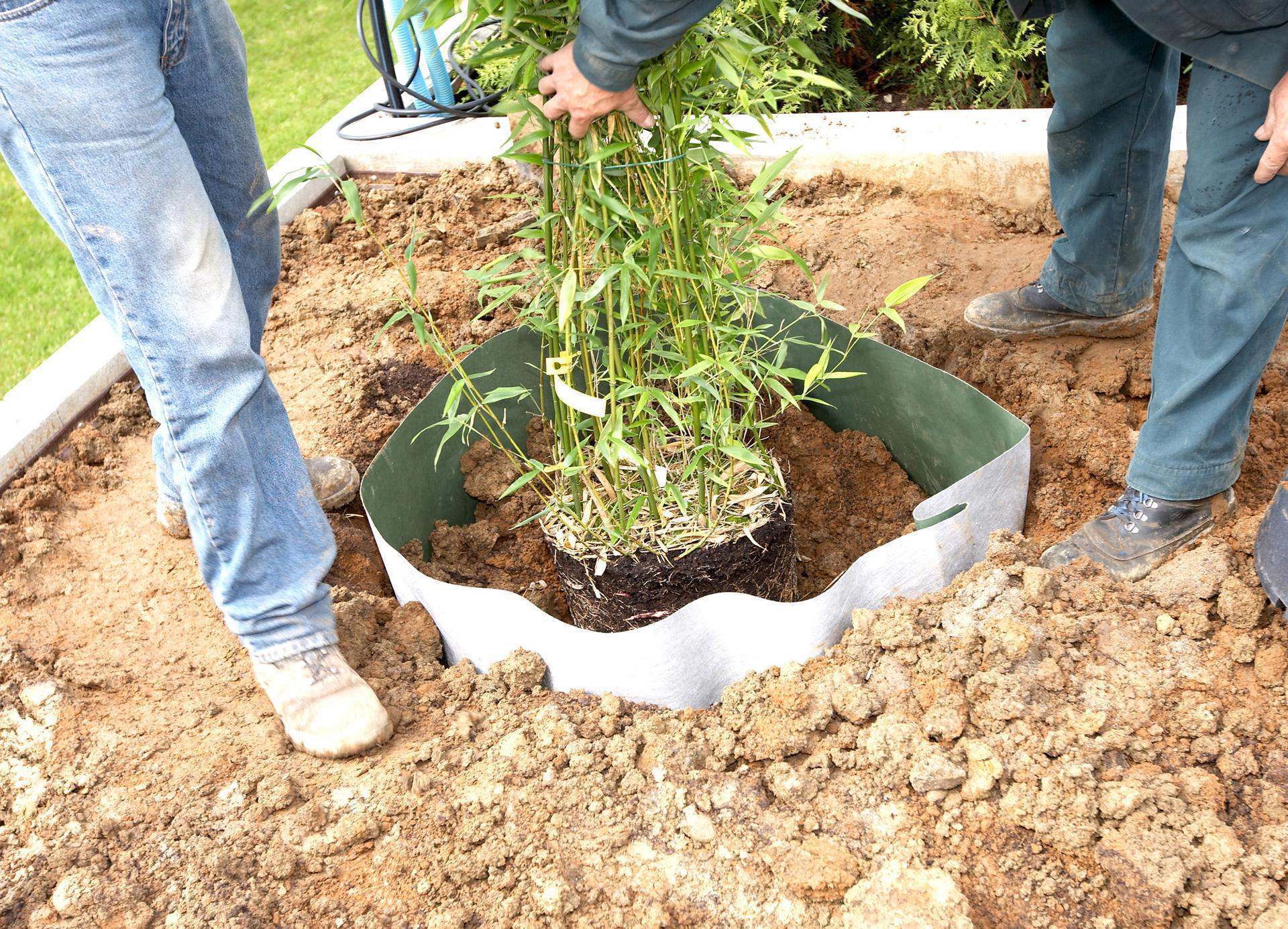 Plantex Wurzelsperre (Root Barrier) 1,3 x 50 m