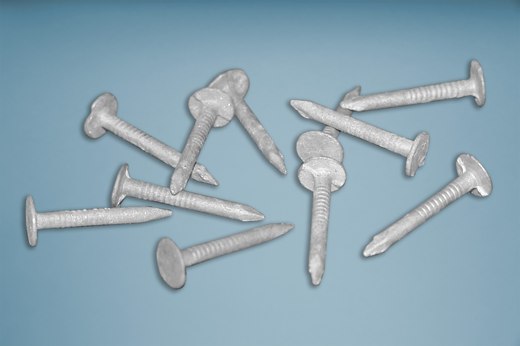 Verzinkte Schindelnägel - 2,5 x 25 mm